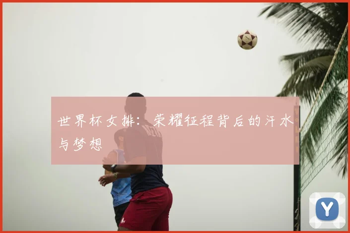 世界杯女排：荣耀征程背后的汗水与梦想